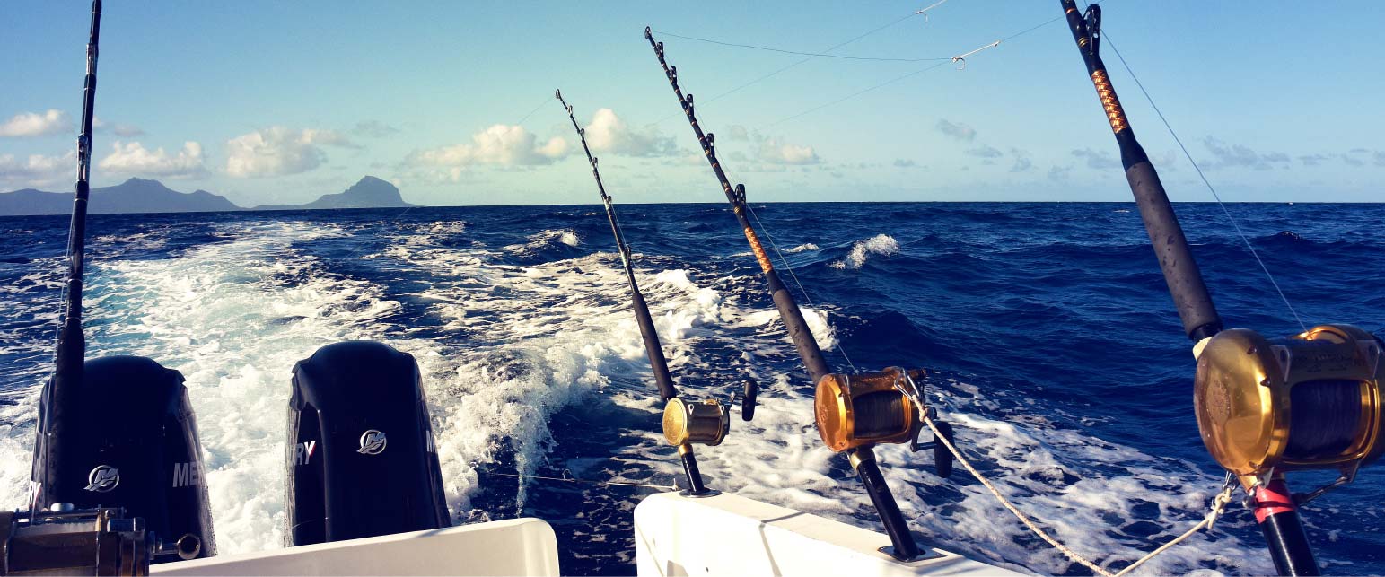Big Game Fishing : Aventure en Haute Mer