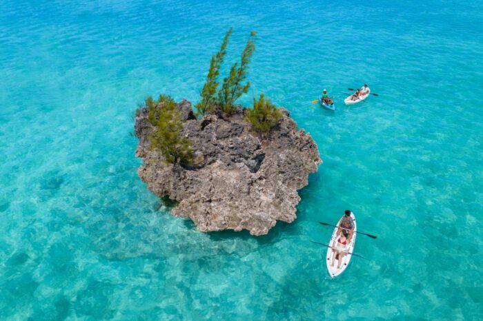 Dolphin Watch Tour & Crystal Rock