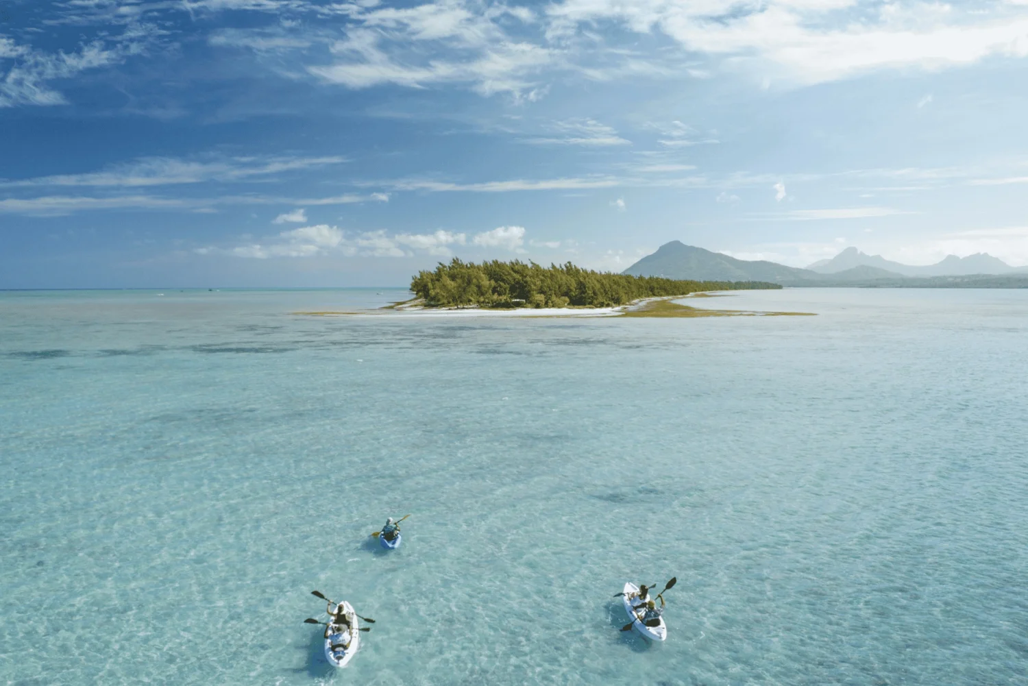 Tamarin (West Coast)